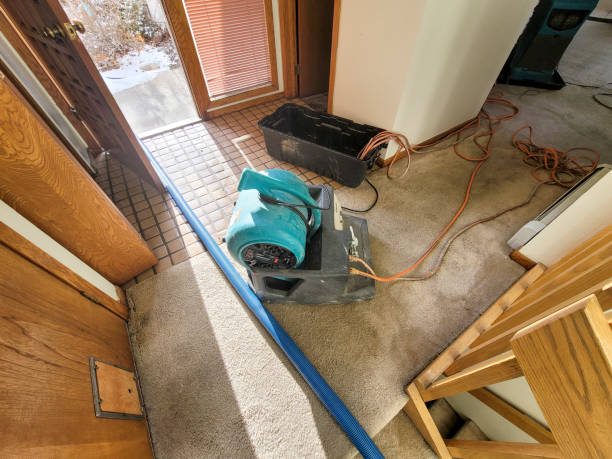  Moorhead, MS Water damage restoration Pros