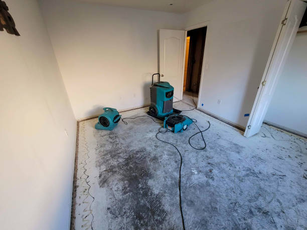 Water damage restoration experts in MS