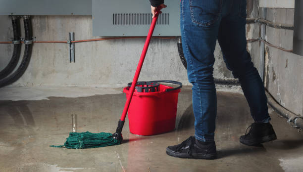 Best Flood damage cleanup  in Moorhead, MS