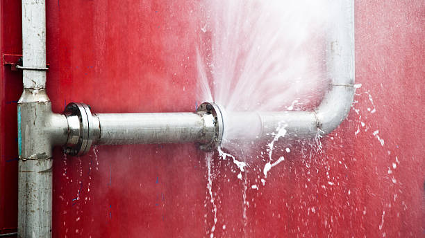 Best Basement water damage restoration  in Moorhead, MS