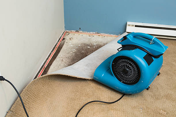 Best Carpet water damage restoration  in Moorhead, MS